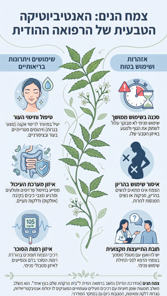 צמח הנים סגולות והנחיות