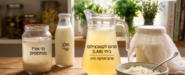 לקטובצילוס - פרוביוטיקה ביתית