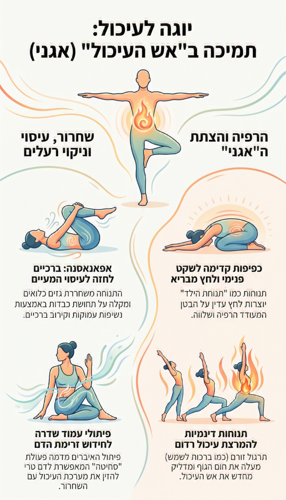 4 תנוחות יוגה מומלצות לתמיכה באש העיכול (אגני)